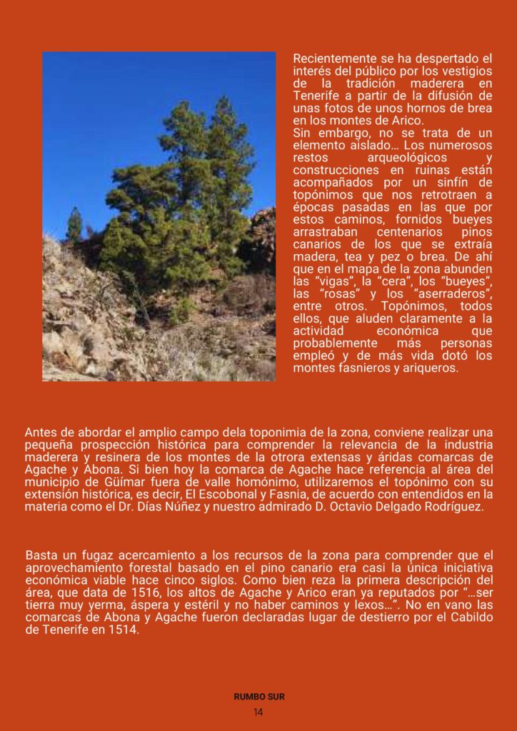 REVISTA RUMBO SUR JUNIO 2025-imágenes-18