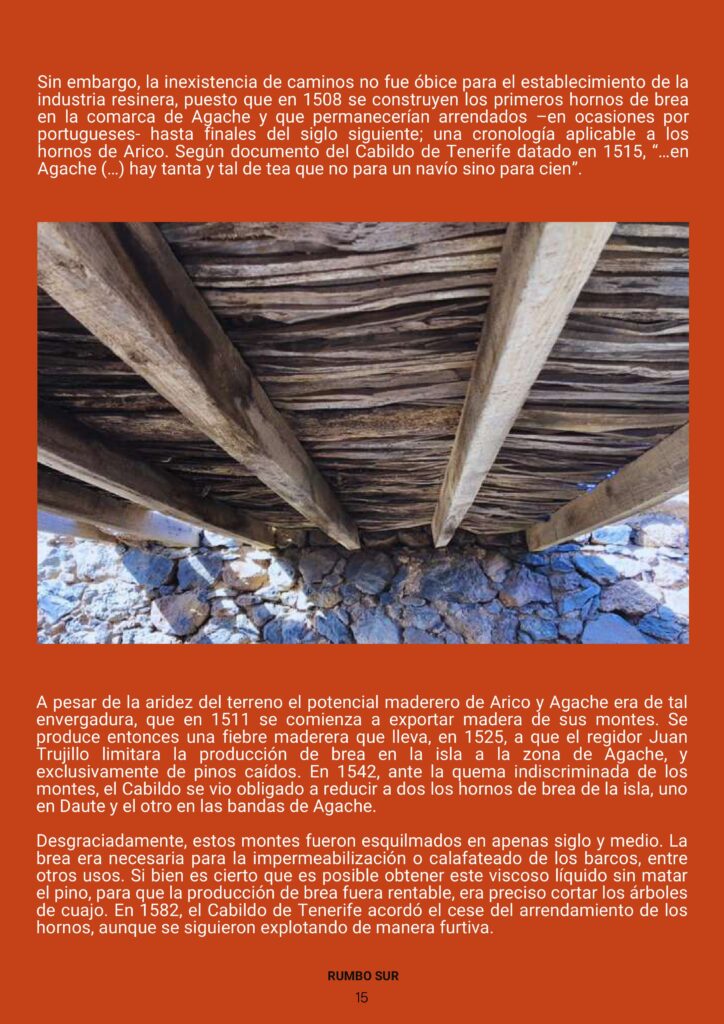 REVISTA RUMBO SUR JUNIO 2025-imágenes-19