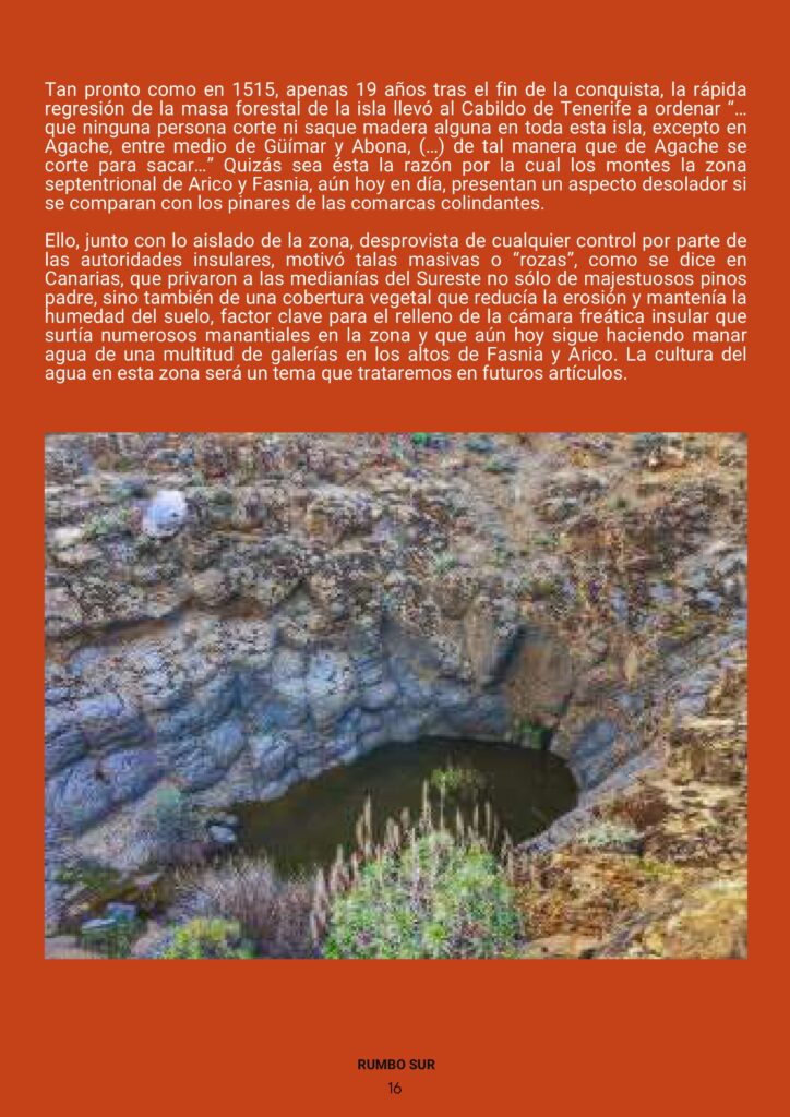 REVISTA RUMBO SUR JUNIO 2025-imágenes-20