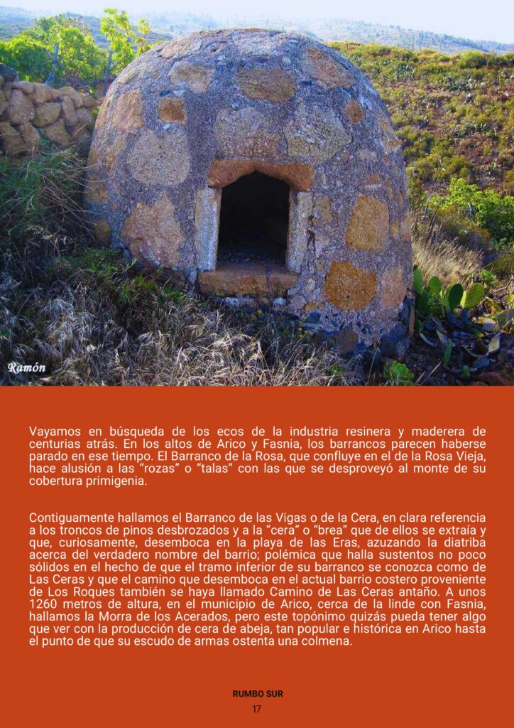 REVISTA RUMBO SUR JUNIO 2025-imágenes-21