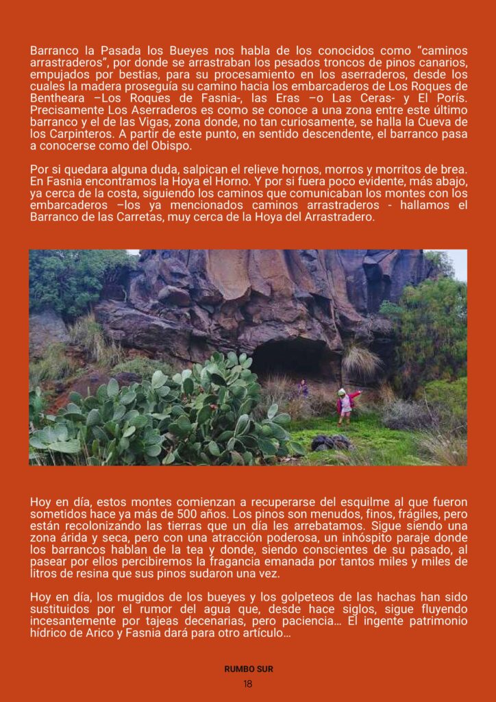 REVISTA RUMBO SUR JUNIO 2025-imágenes-22