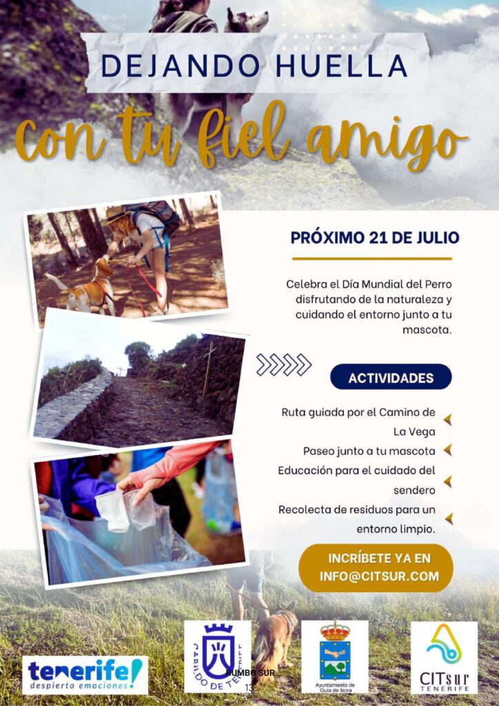 REVISTA RUMBO SUR JUNIO 2025-imágenes-25